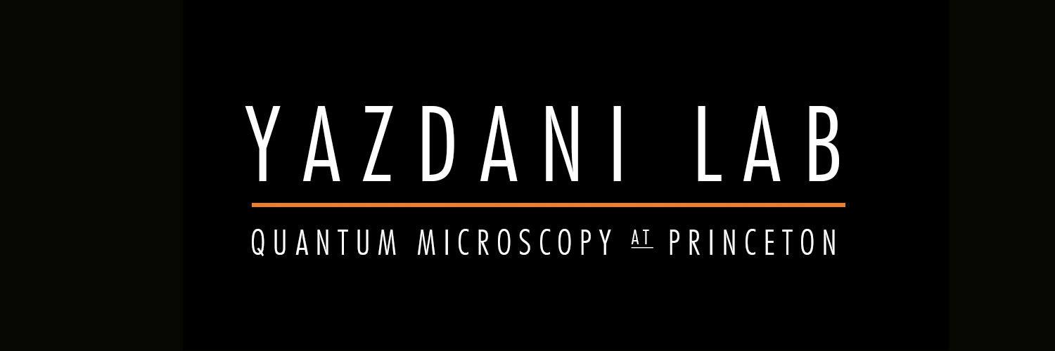 Yazdani Lab banner