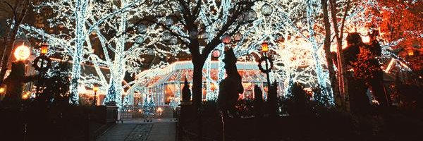 TomaBnd's profile banner image