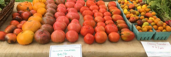 HuskyMeadows Profile Banner