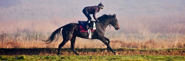 Caroline Murtagh banner