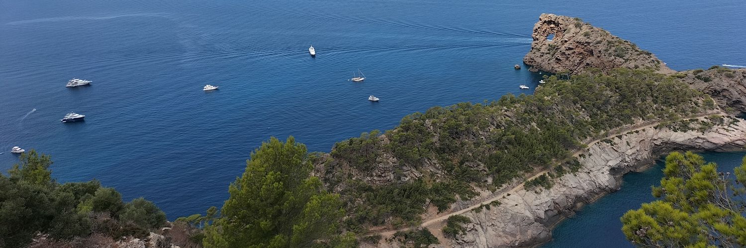 Anitsirc92's profile banner image