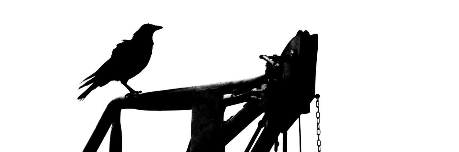 MorvanLeo's profile banner image