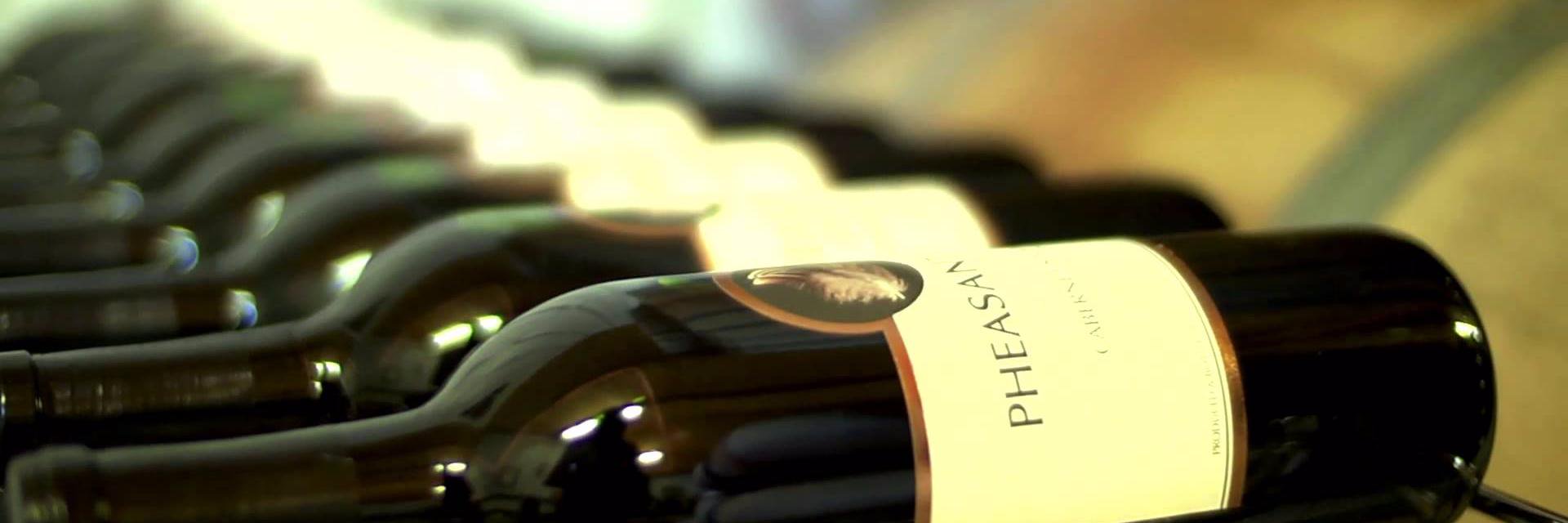 Pheasant_Ridge's profile banner image