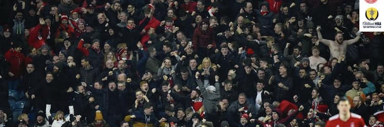 Lewis banner