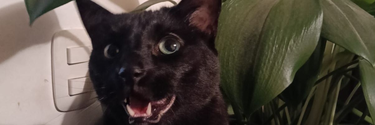 aromynnej's profile banner image