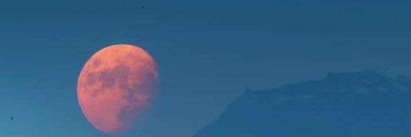 Gubbyo banner