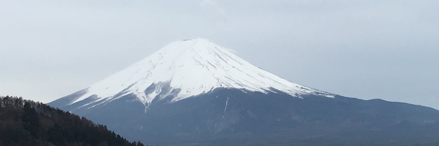 vivagoto's profile banner image