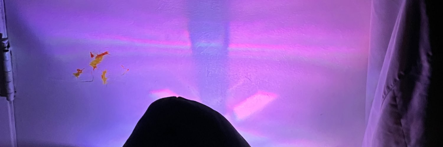 liveforlove4ev1's profile banner image