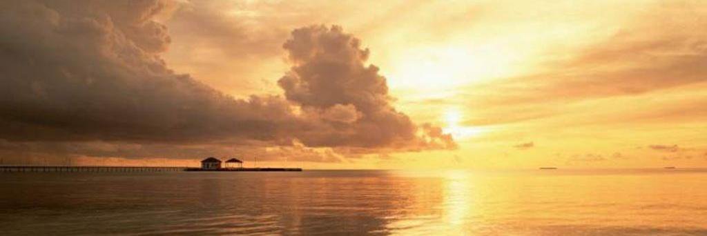Alialawy44's profile banner image