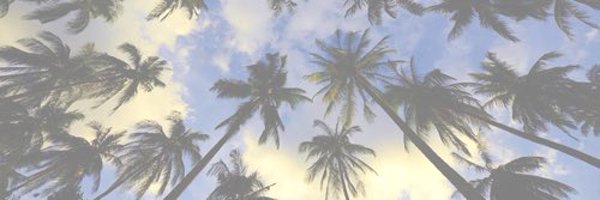 2single2mingle_ Profile Banner