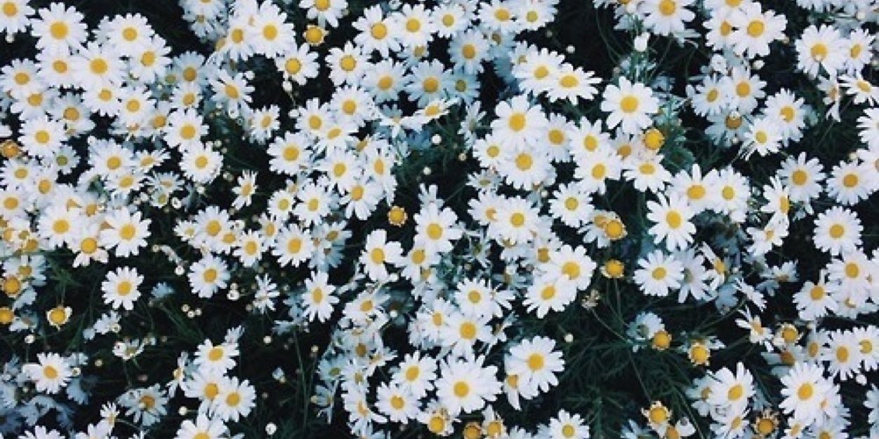 linda040x's profile banner image