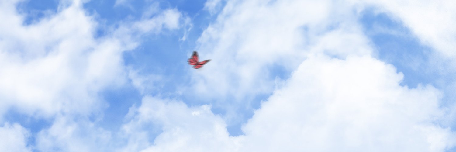 Madeline Merlo banner