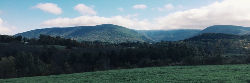 carconforti's profile banner image