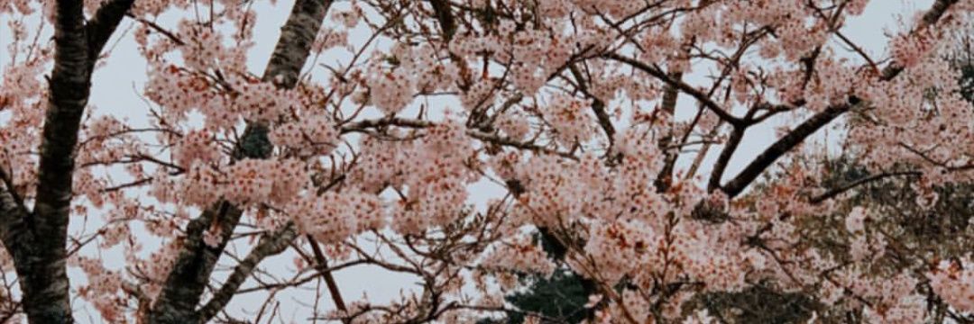 02.30am thought💮 banner