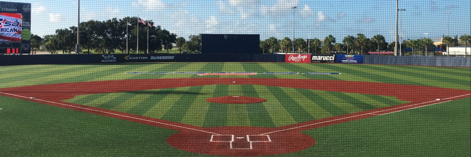 The Baseball Networks banner