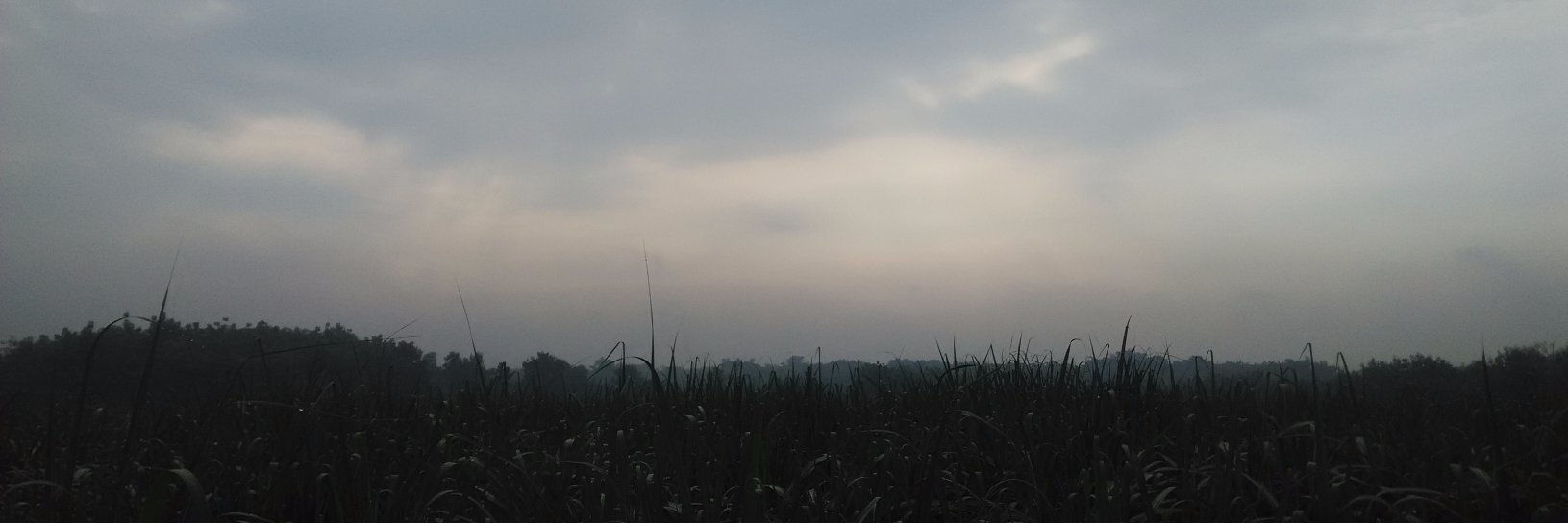 nurrahimds's profile banner image