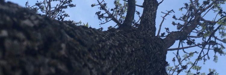 lyricsandpapers's profile banner image
