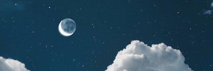 Nermin Basevic banner