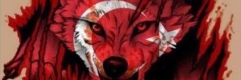 ERKANTELLIOGLU's profile banner image