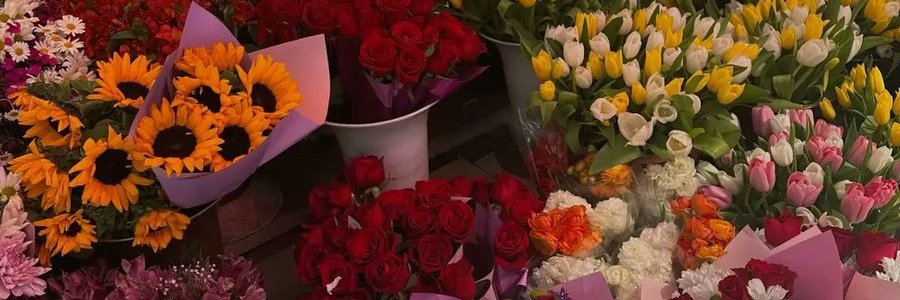 annn4hi's profile banner image