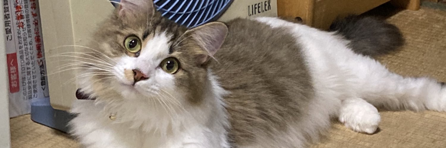 おおもり(焼酎亭ヴォジョレー) banner