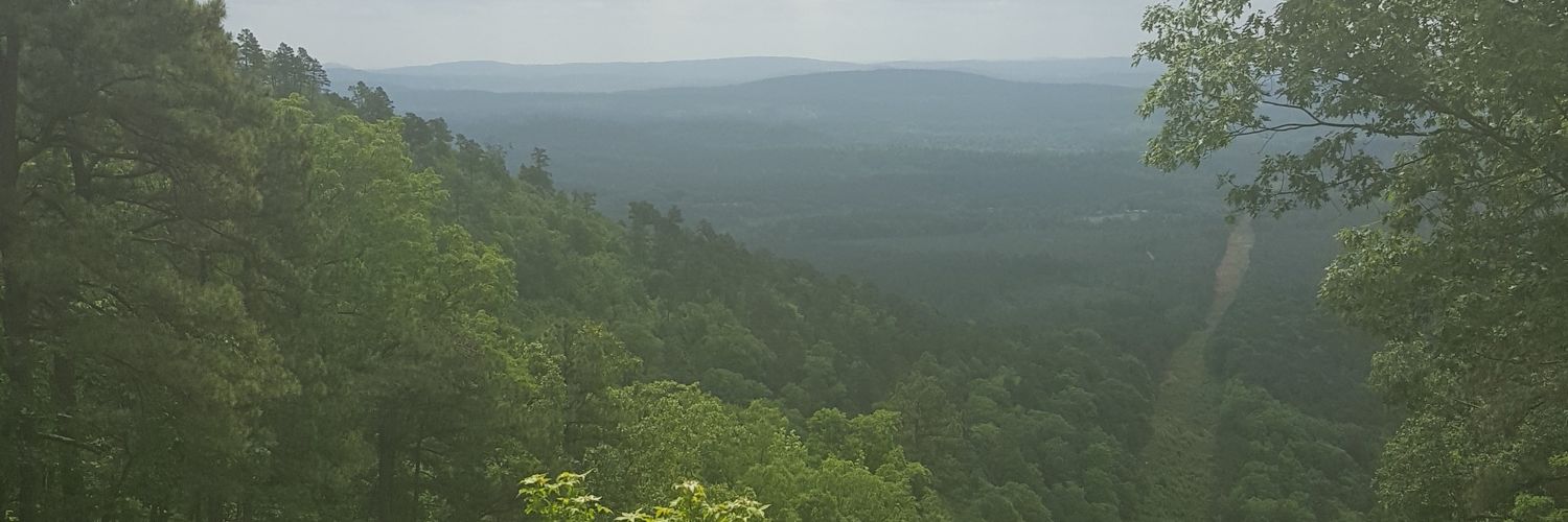 Bdragonflyfox's profile banner image