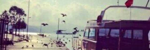 mmm_sahal's profile banner image