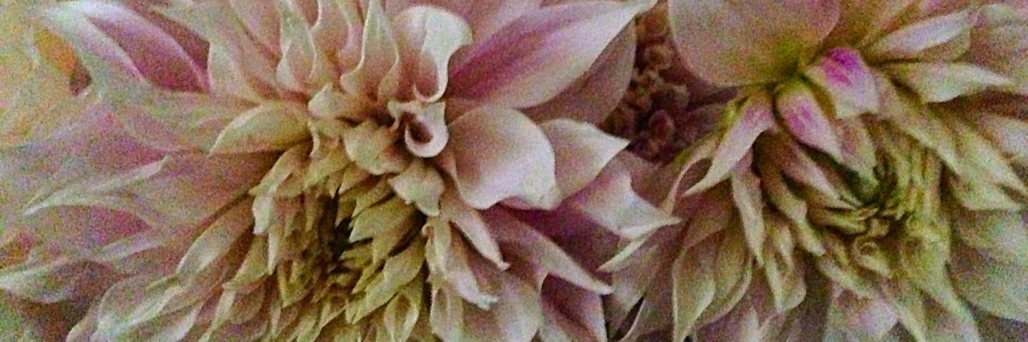 Simplysuzanne4's profile banner image