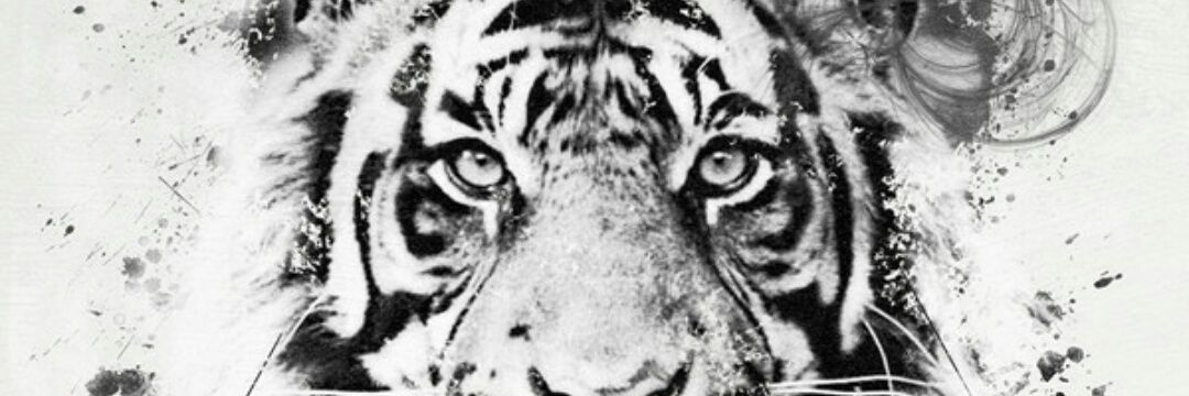 Rodribesti's profile banner image