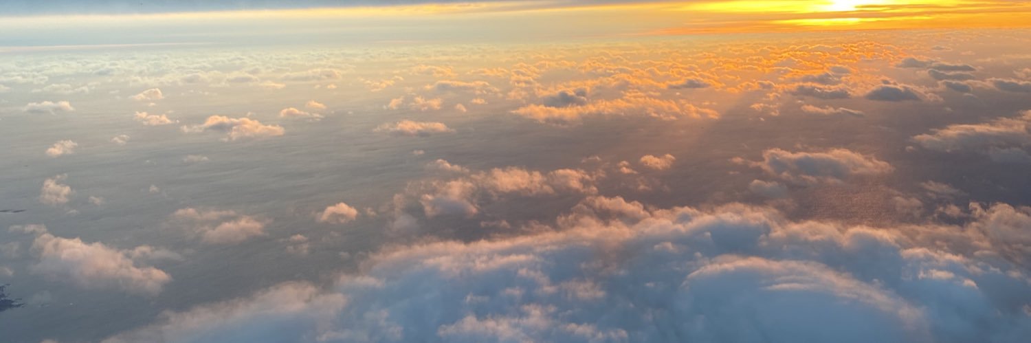 AmandaMostowy's profile banner image