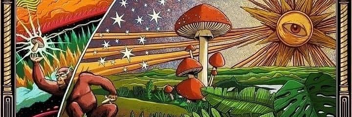 RojoRed357's profile banner image