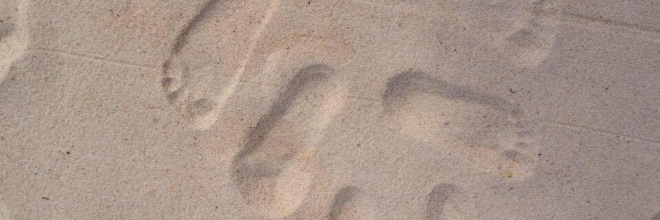 Tolga Daglaroglu banner