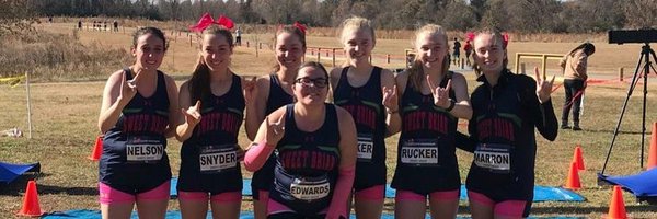SweetBriarXCTF Profile Banner