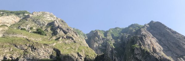 ParviziJavad Profile Banner