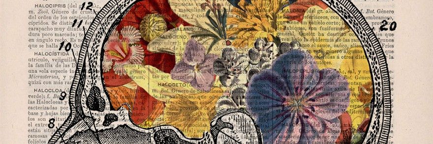 alinacasals's profile banner image