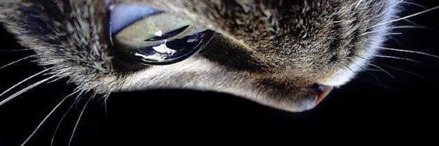 mahacl_'s profile banner image