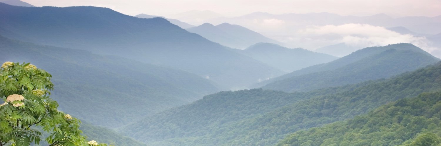 Pete D’Amour_SBCamps banner