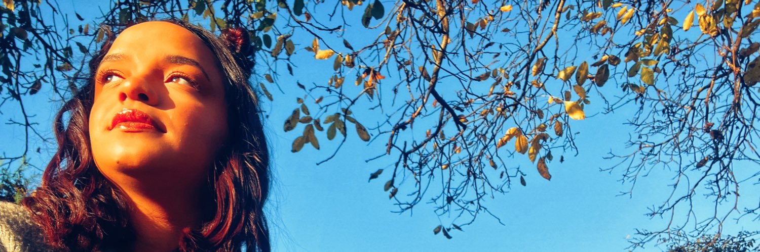 MarineRMA's profile banner image