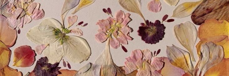 ♡ Aimê ♡ banner