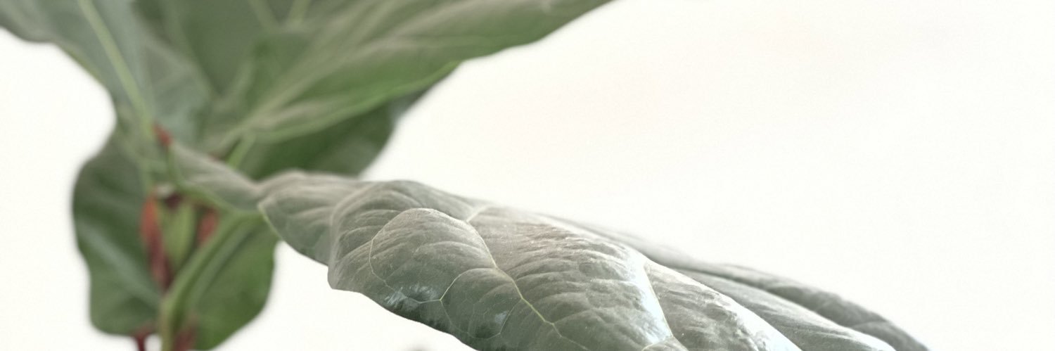 virigutierrezd's profile banner image