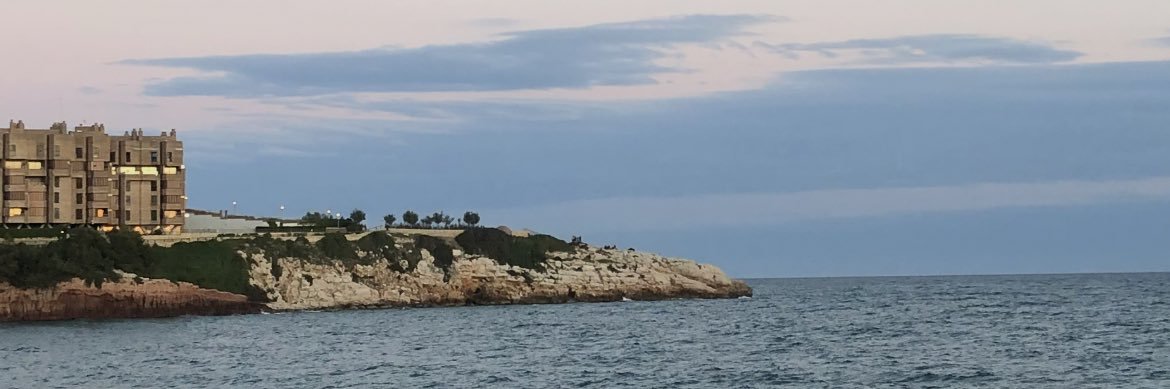 Iouriana's profile banner image