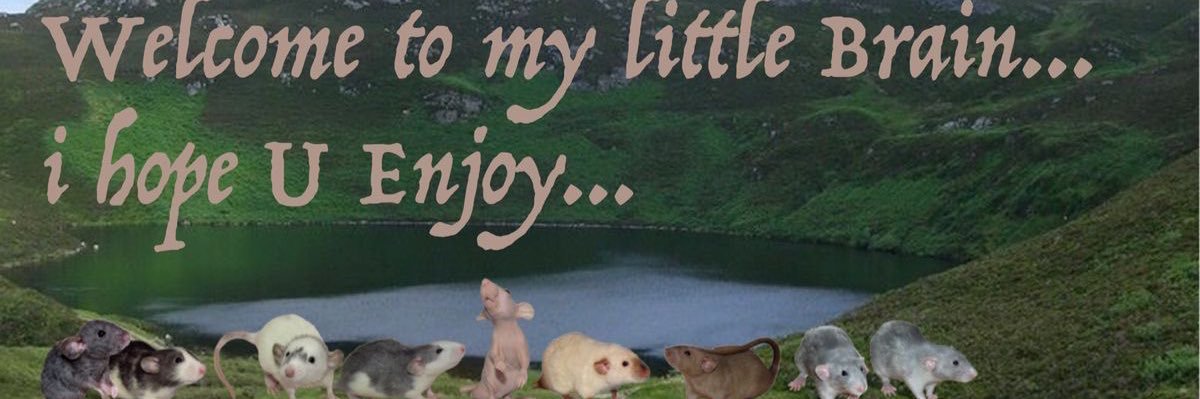 thai banner