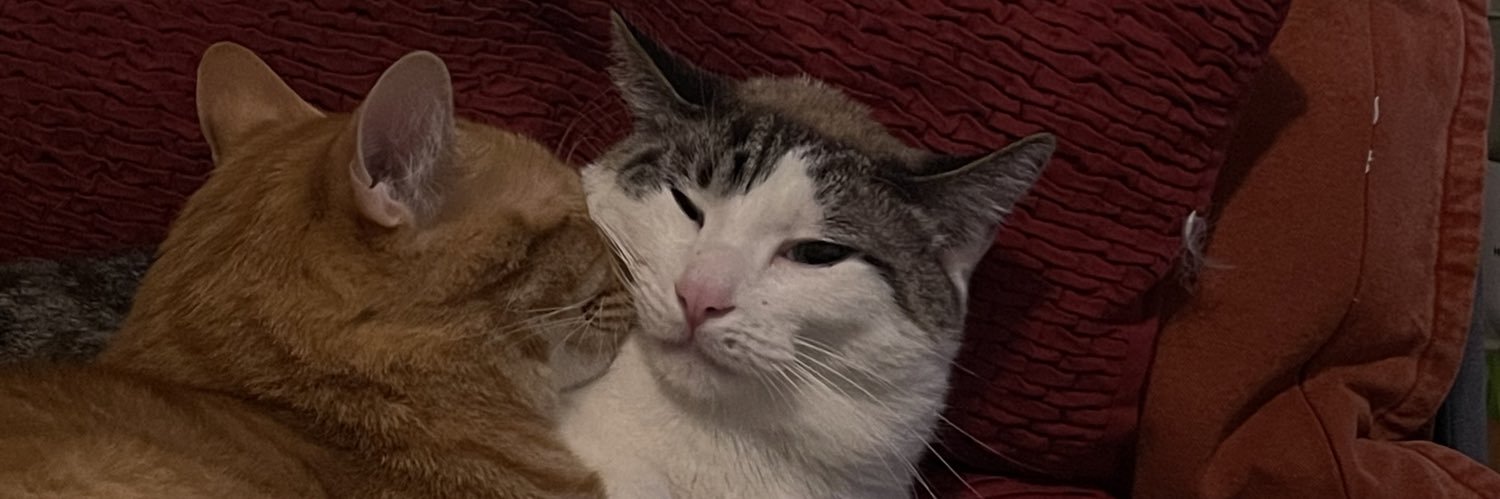 clurdeburr's profile banner image