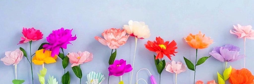 Sunshineegal's profile banner image