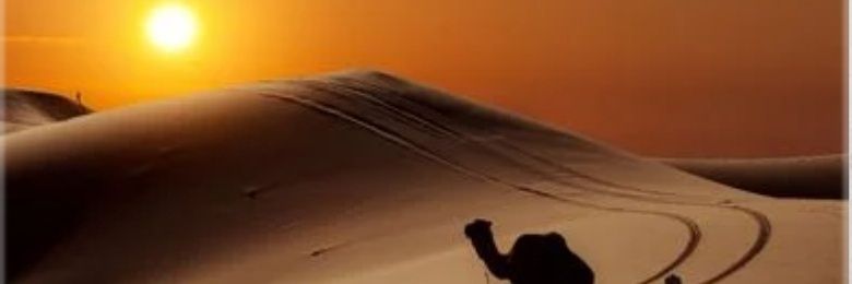 Sam_so_nyte's profile banner image