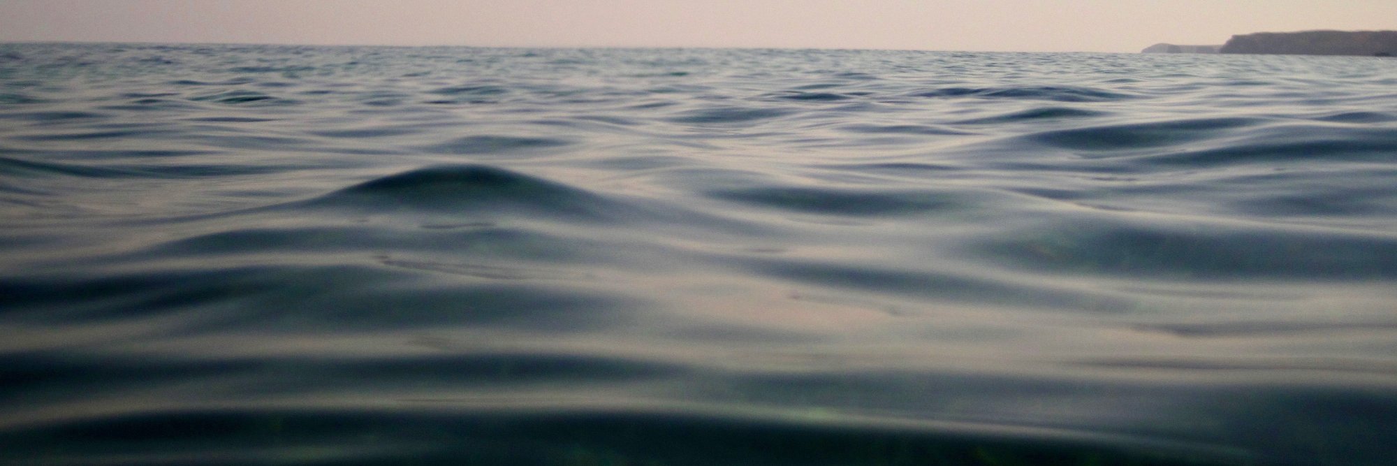 Miguel Gandra banner