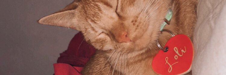 MalusSchust's profile banner image