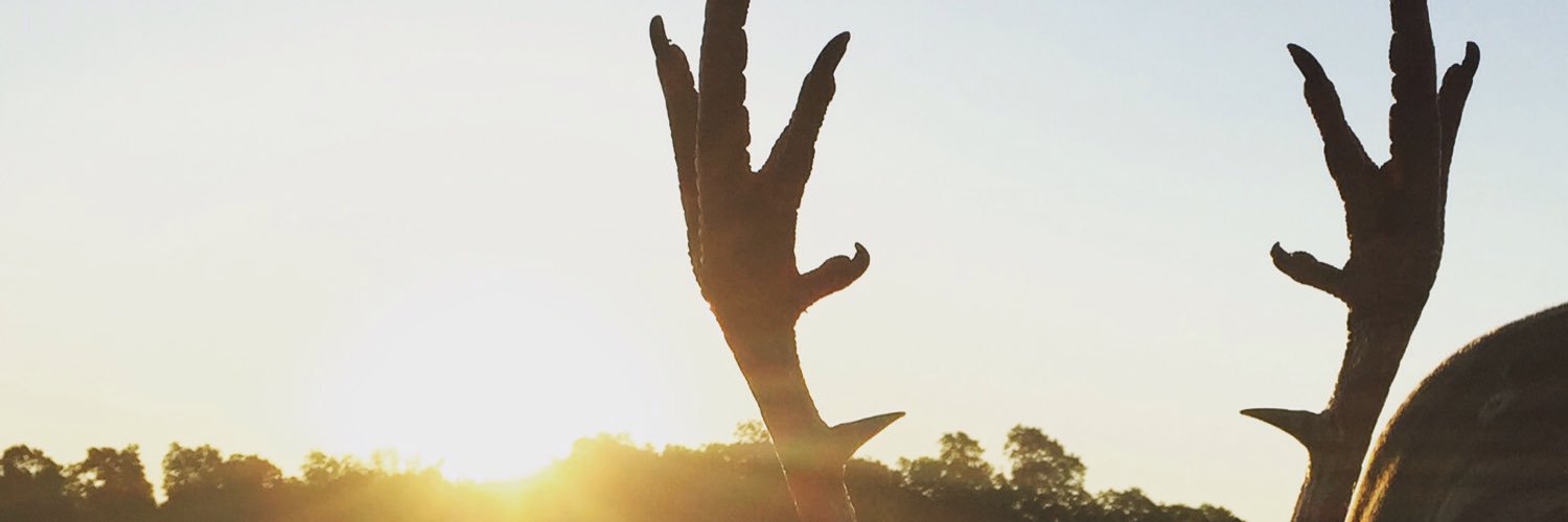 ammons11's profile banner image