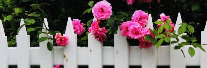 tricia__ann's profile banner image