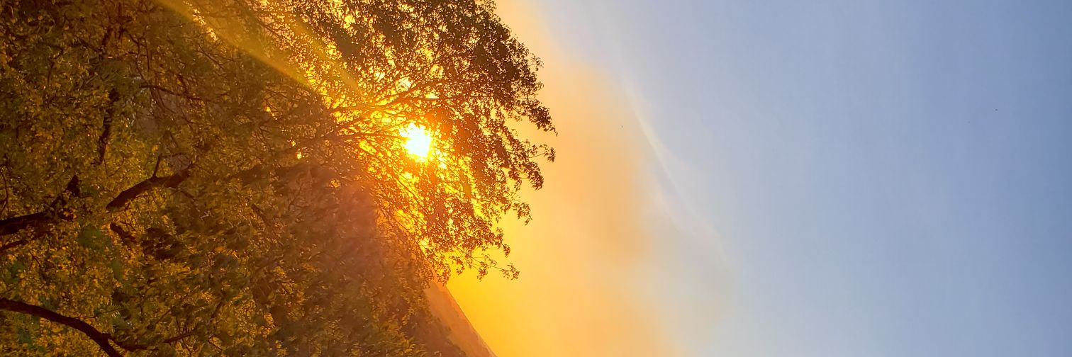 Arielito♻ banner